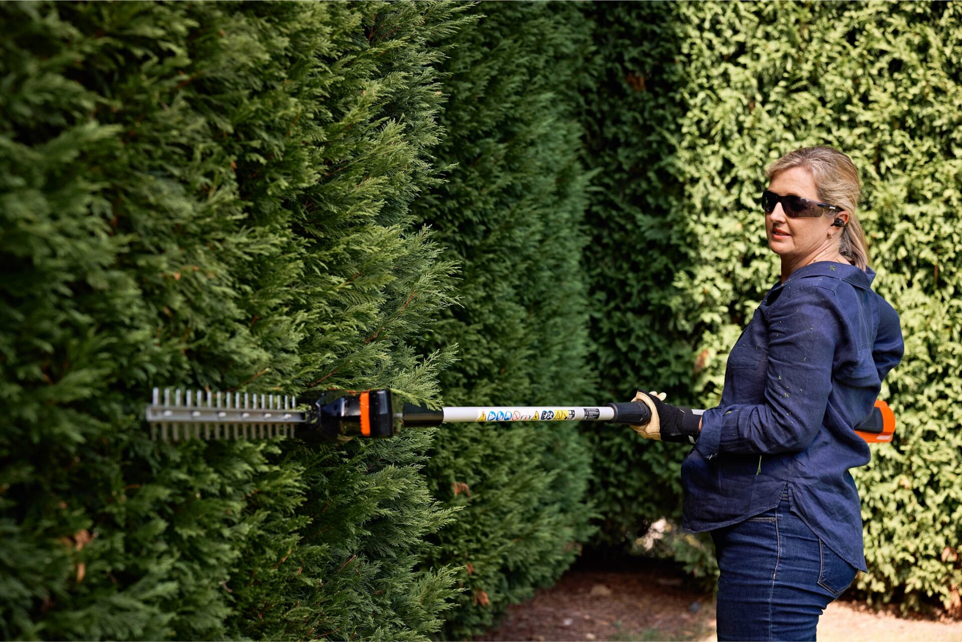 DHCA-310-LIVE-3