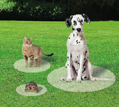 ambrugio_pet_safe