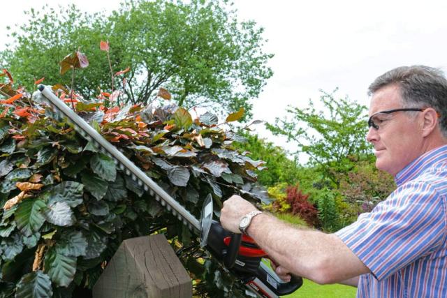 cobra-hedge-trimmer