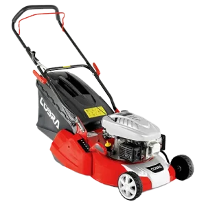 Petrol Push Roller Mowers