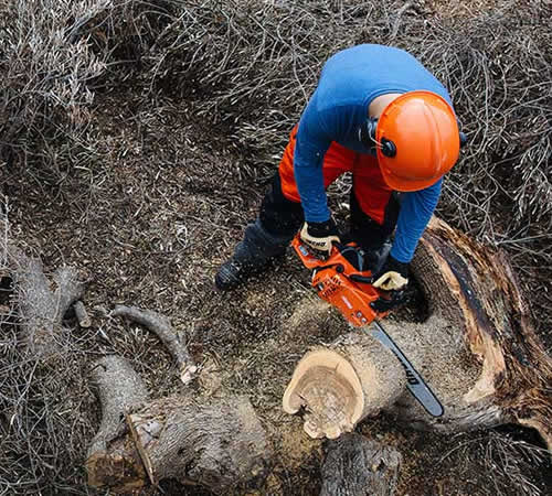 echo_chainsaw_cs361wes_4