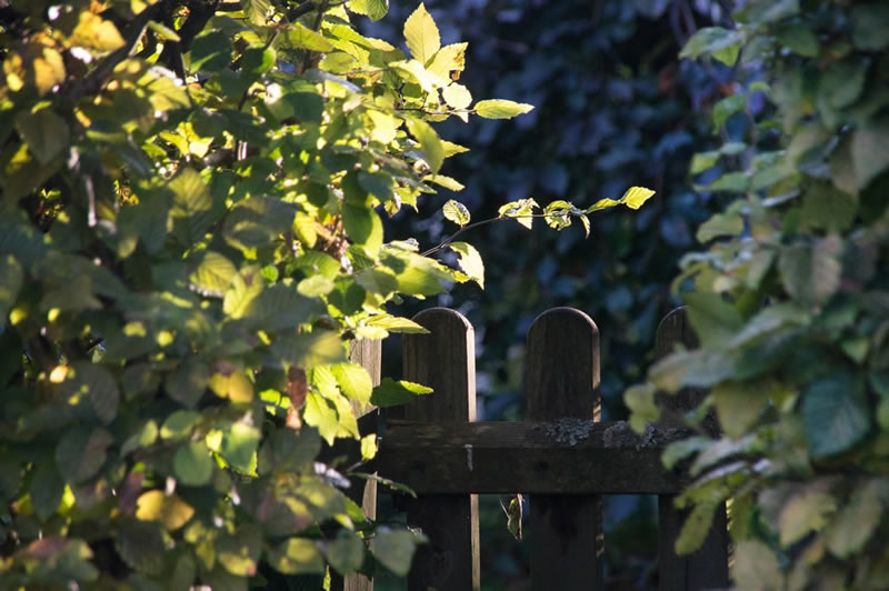 garden-gate-2758466_1920