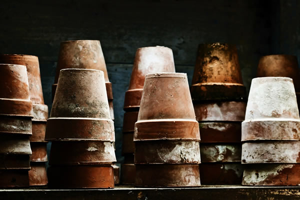 pots-84454_1920
