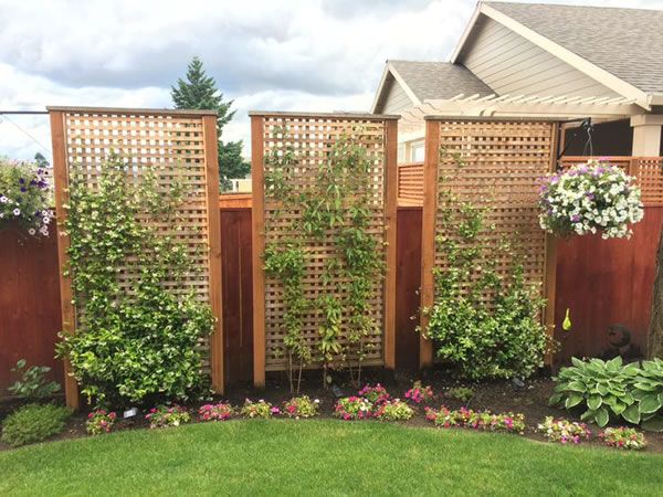 trellis