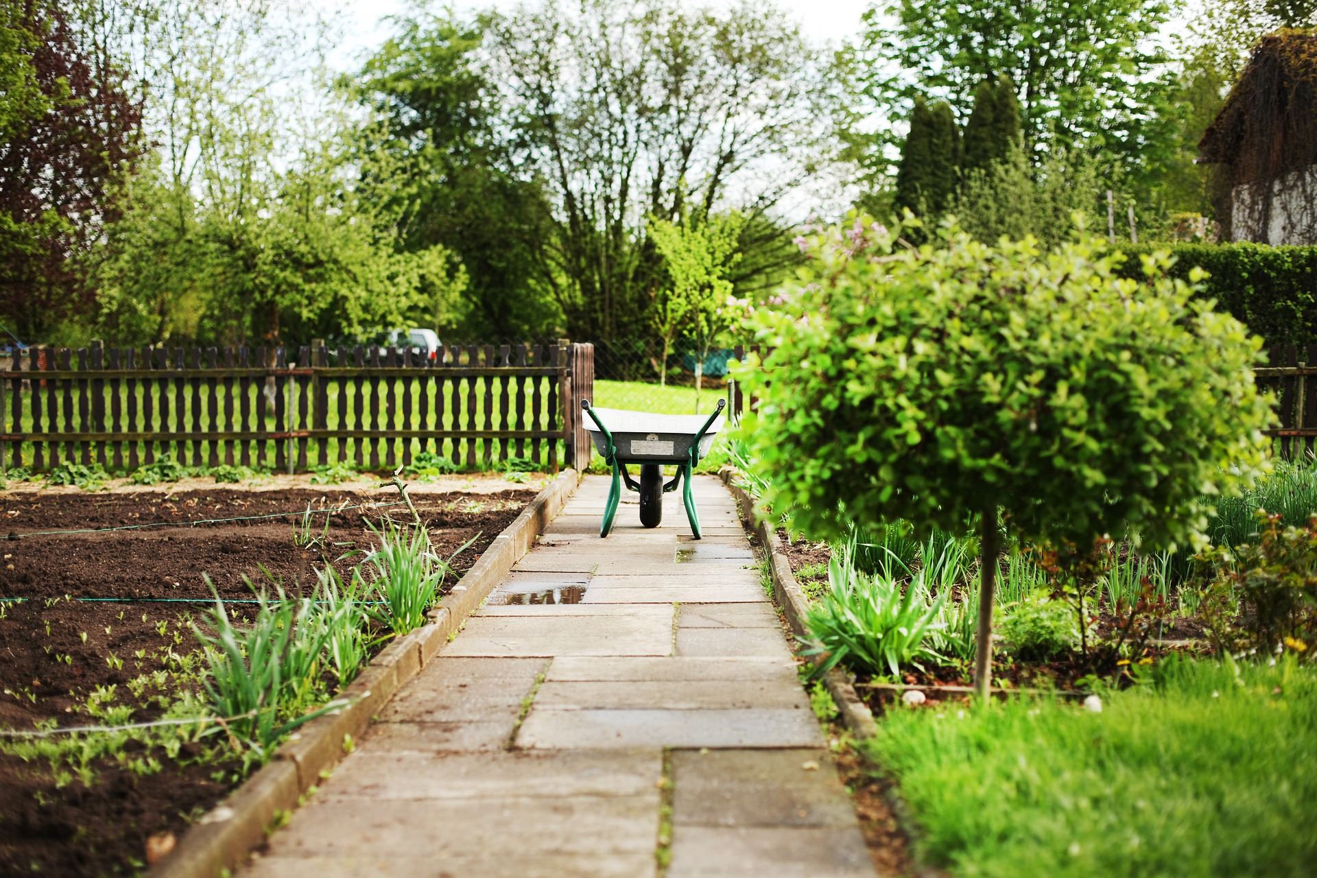 wheelbarrows-2157335_1920-1024x683